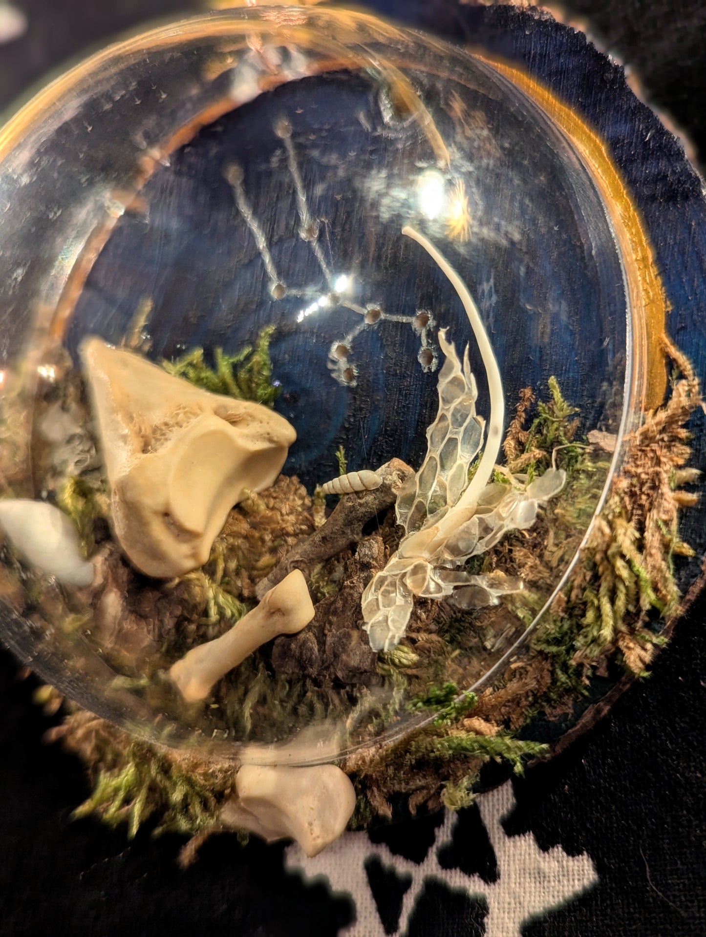 Taurus Oddity Ornament '24