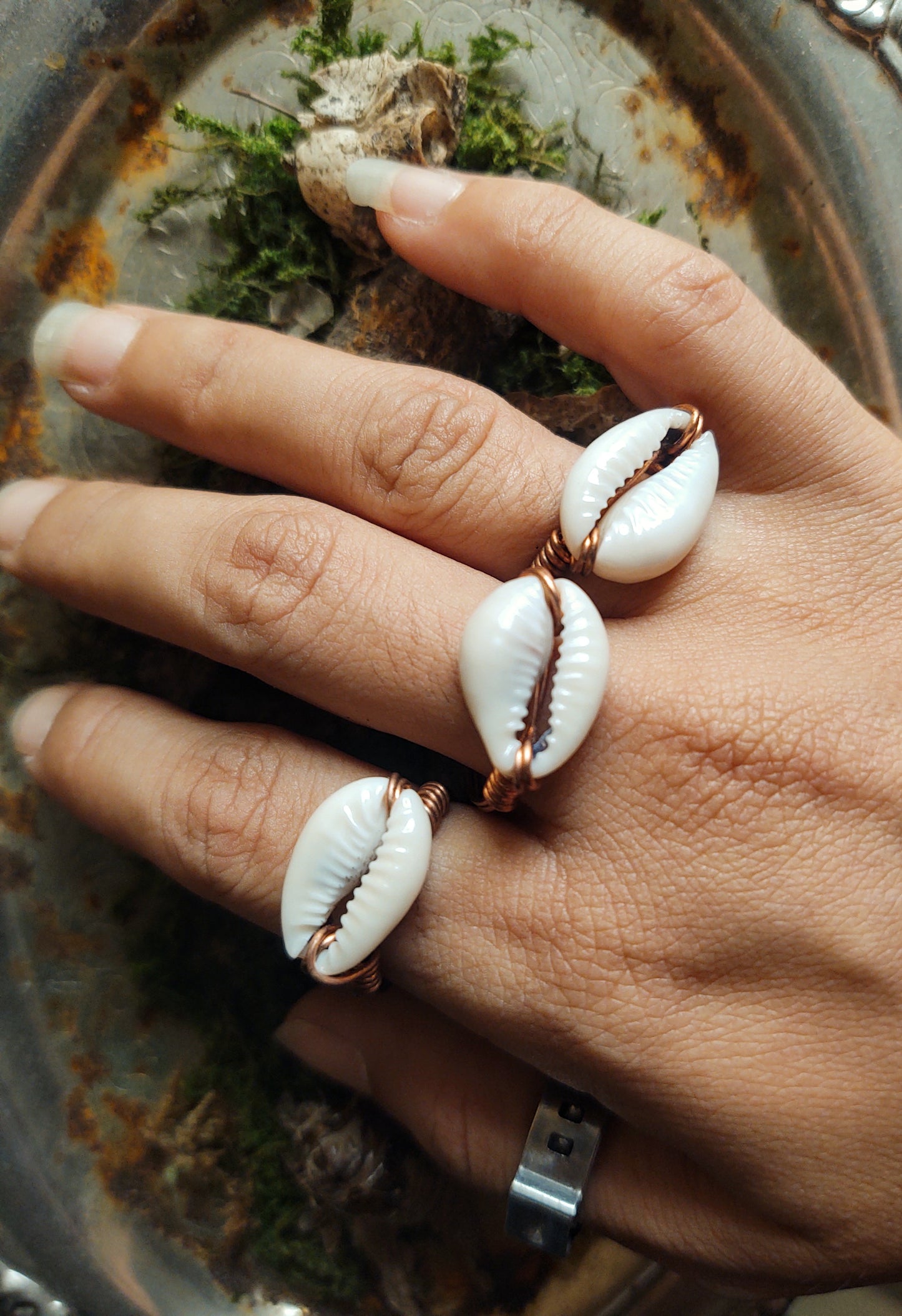 Copper Cowrie Shell Rings