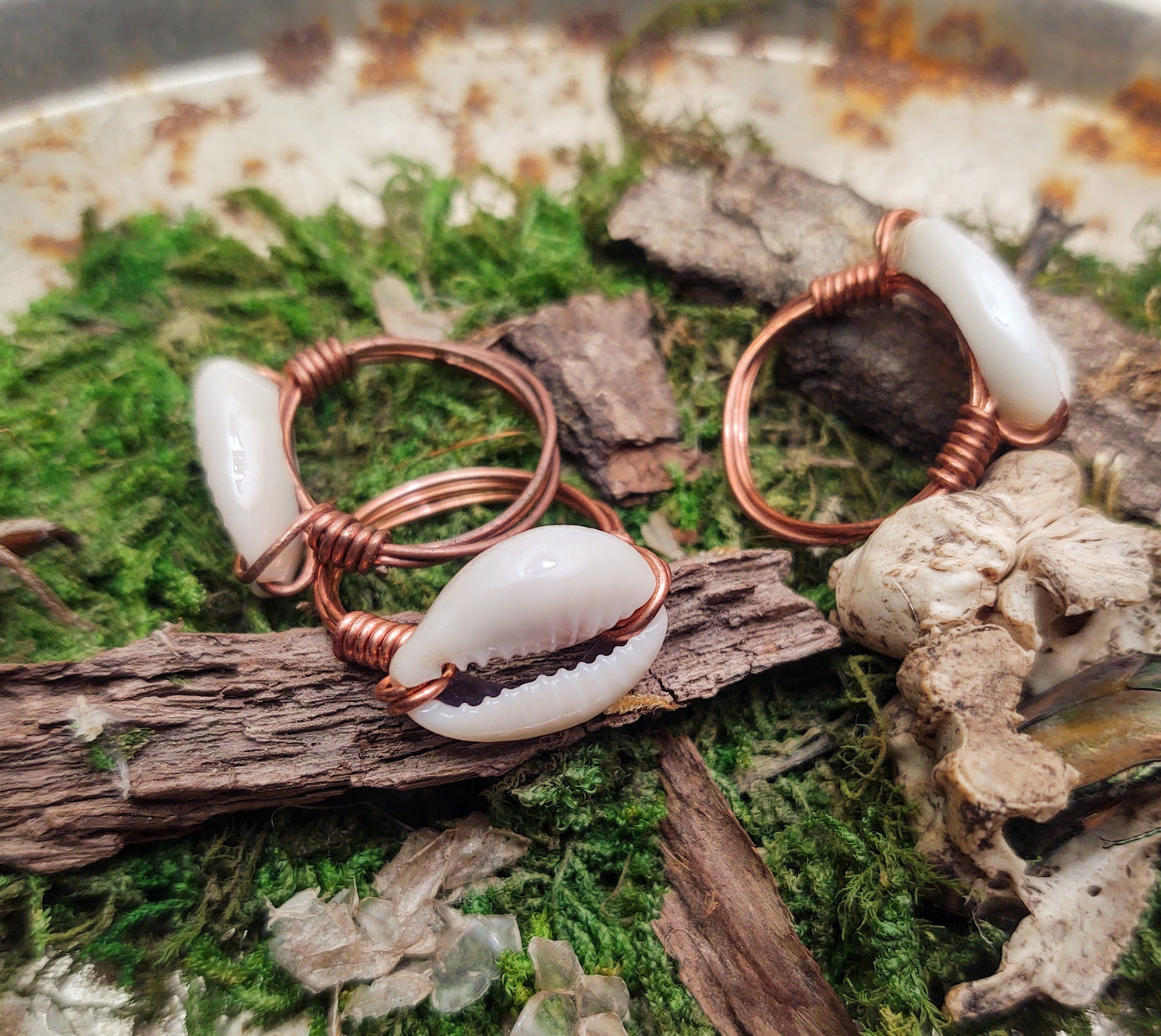 Copper Cowrie Shell Rings