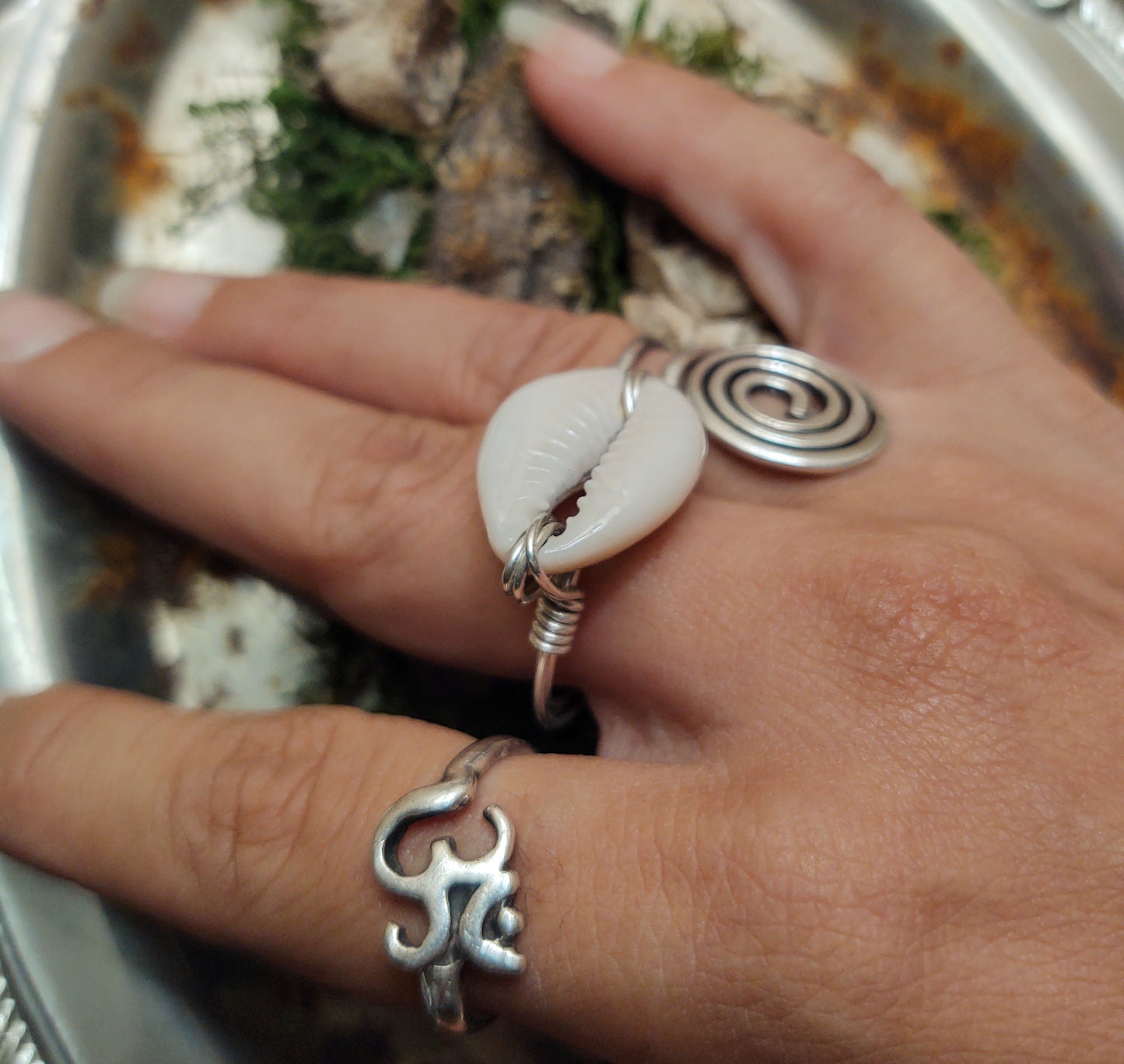 Silver Cowrie Shell Ring