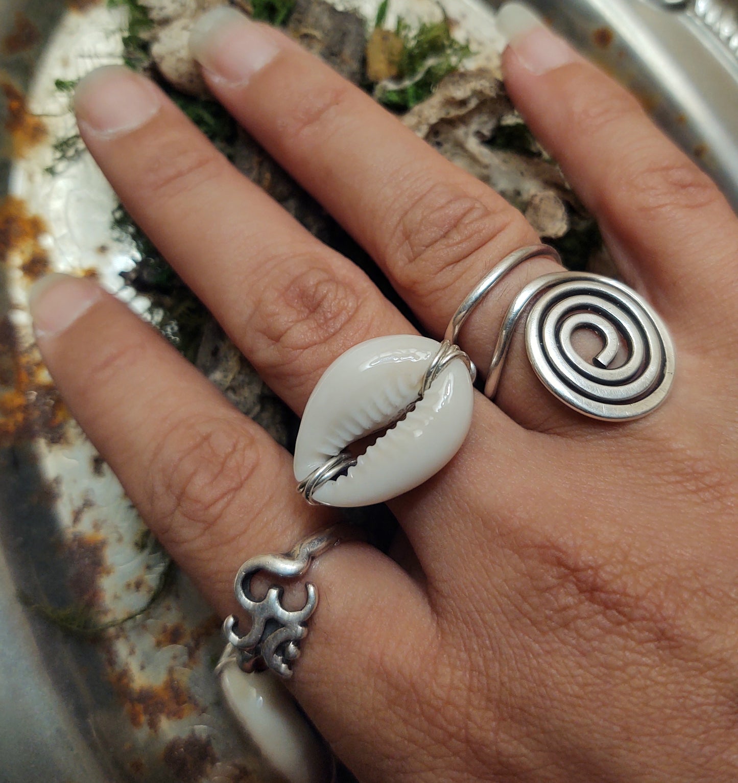 Silver Cowrie Shell Ring