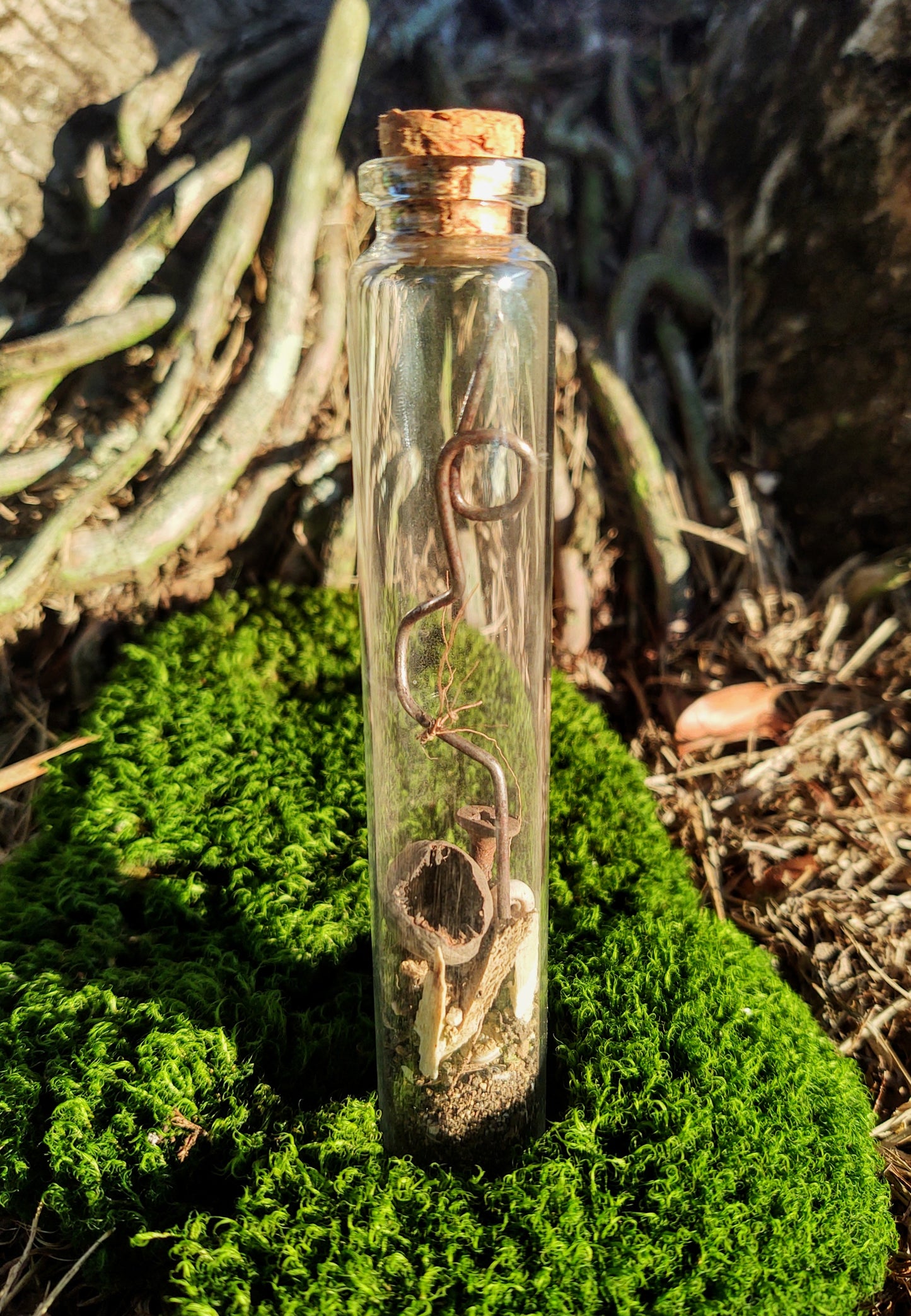Florida Forest Vial