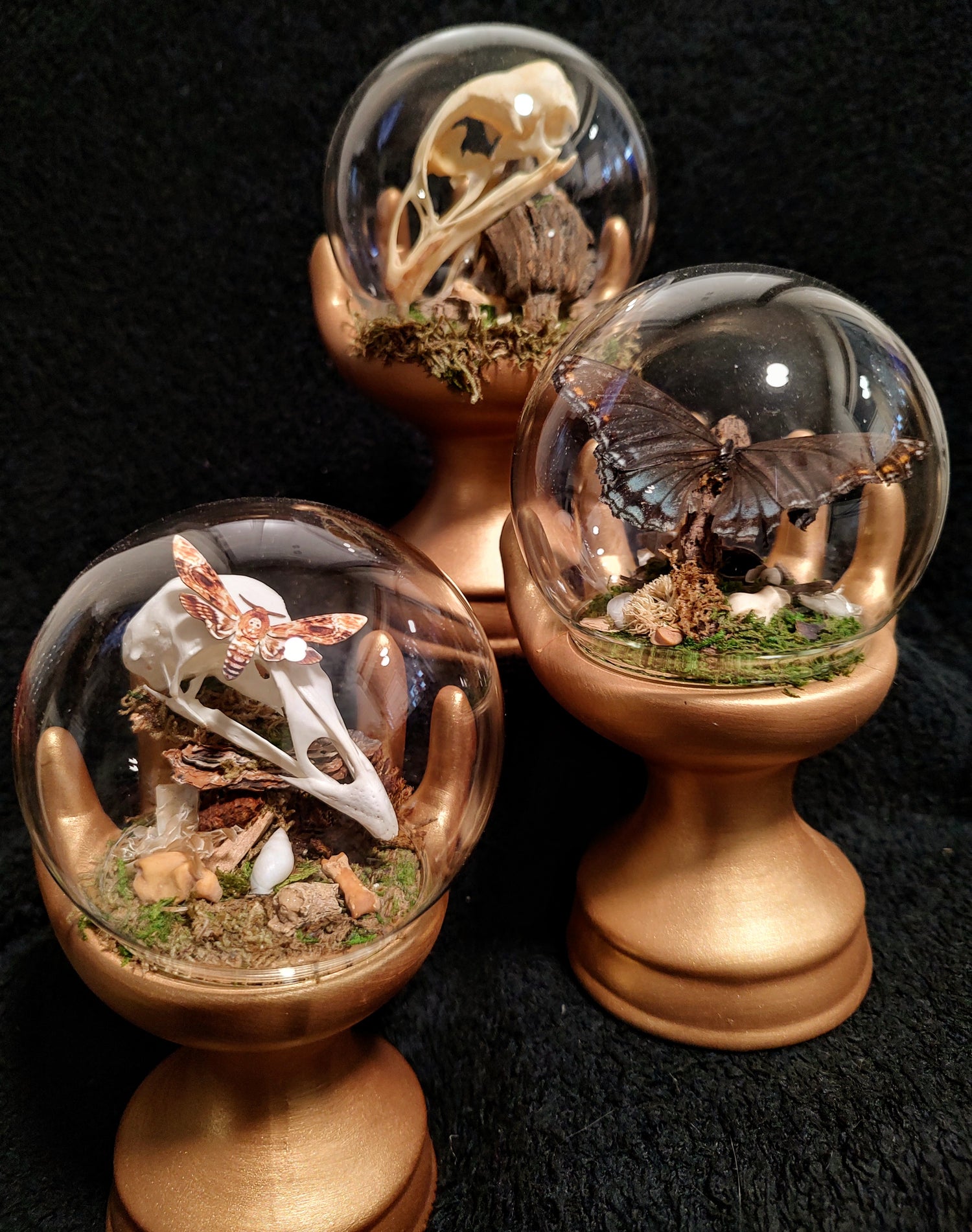 Mortuarariums