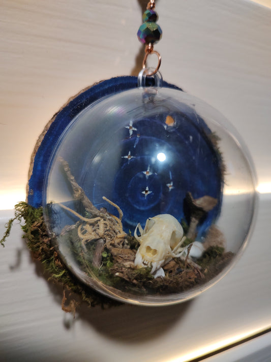 Cassiopeia Constellation Bat Ornament '23