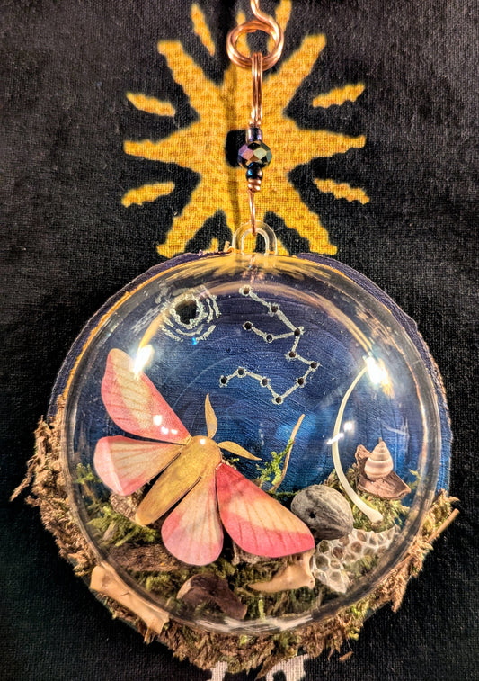Aquarius Oddity Ornament '24