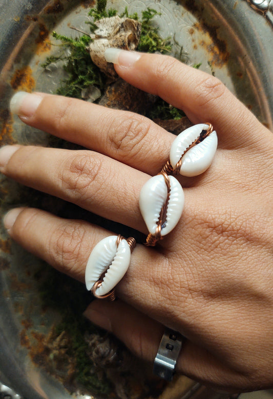 Copper Cowrie Shell Rings