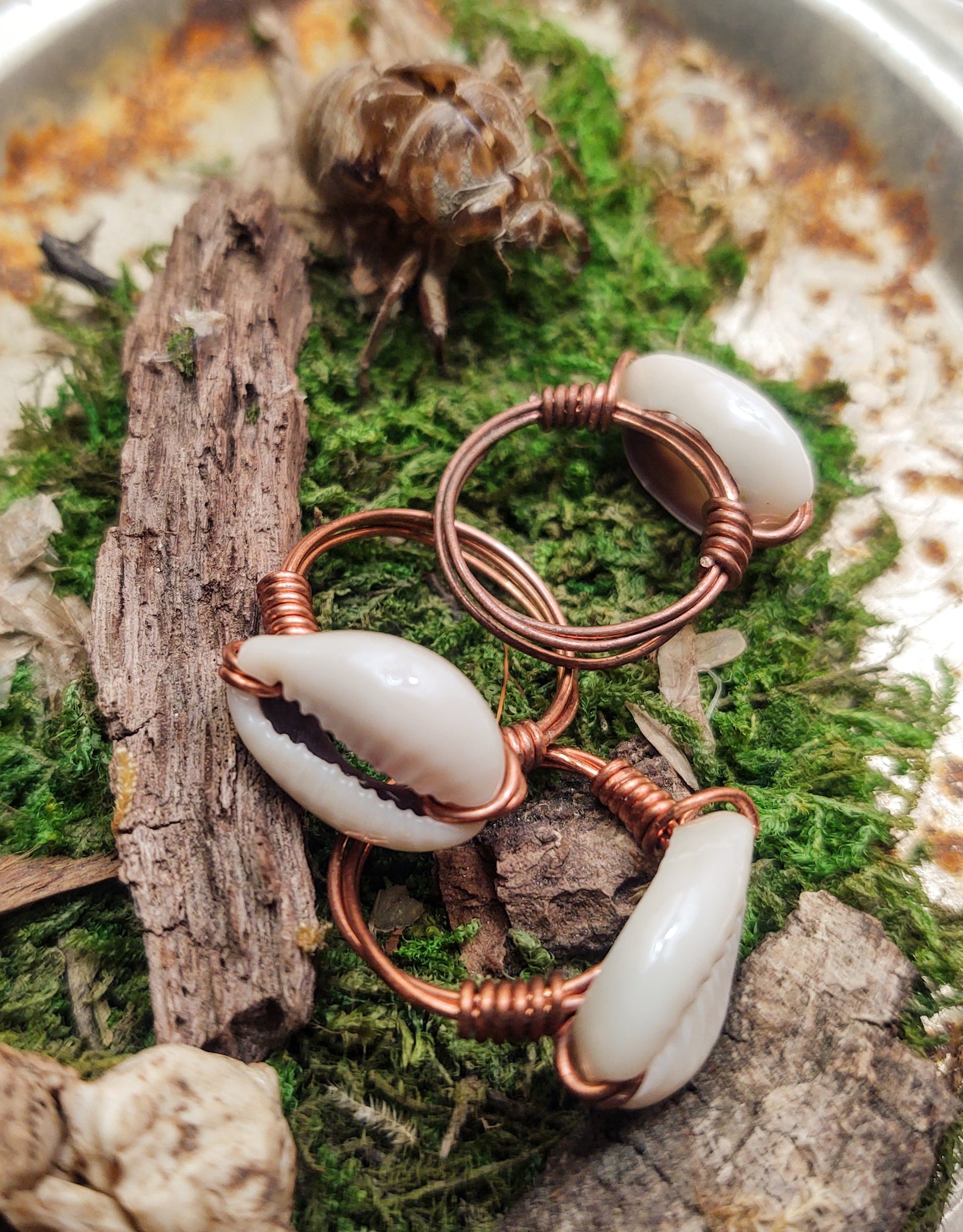 Copper Cowrie Shell Rings