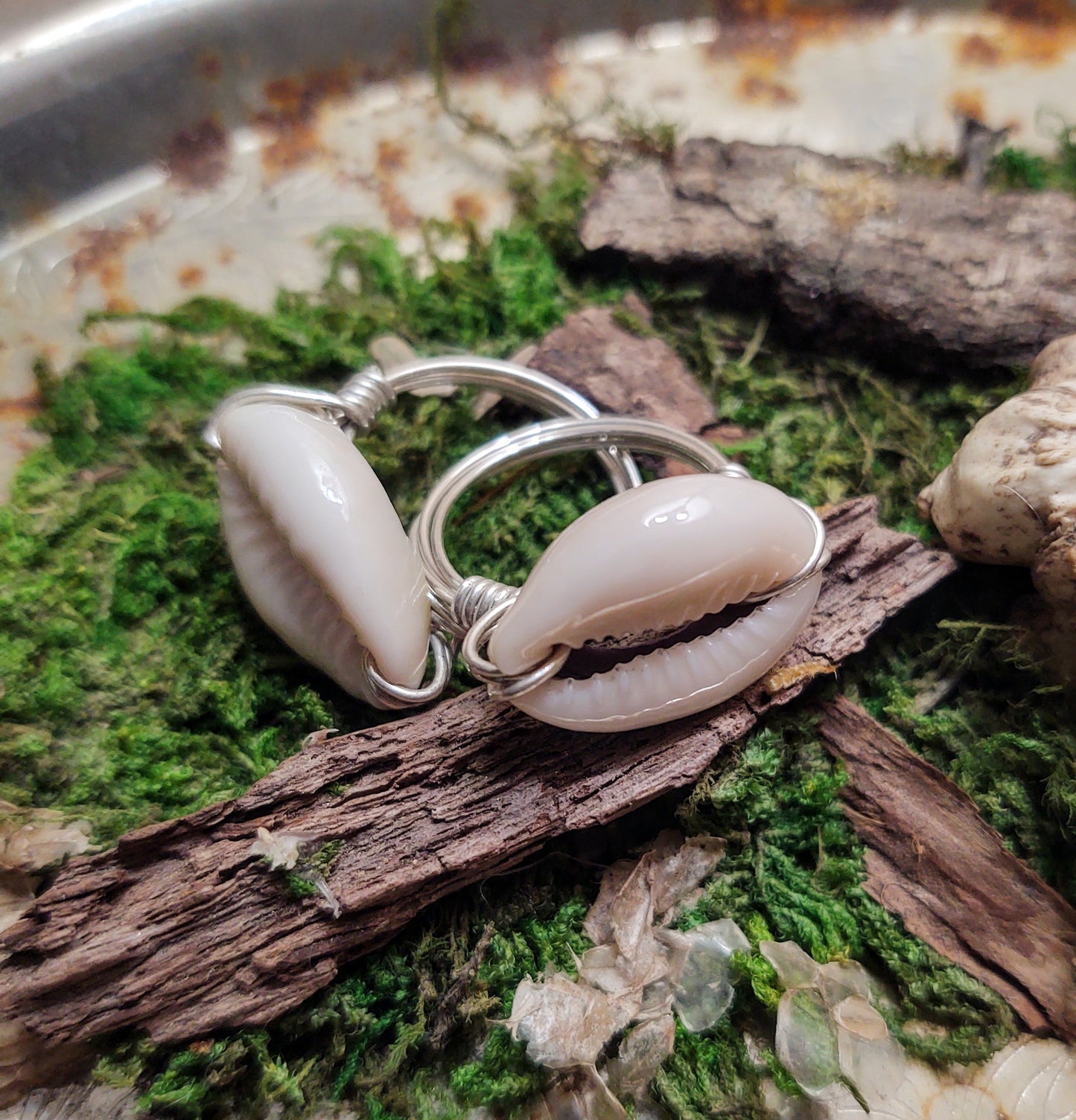 Silver Cowrie Shell Ring