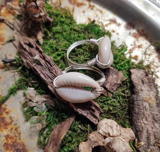 Silver Cowrie Shell Ring