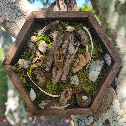 "Hexagon of Change"